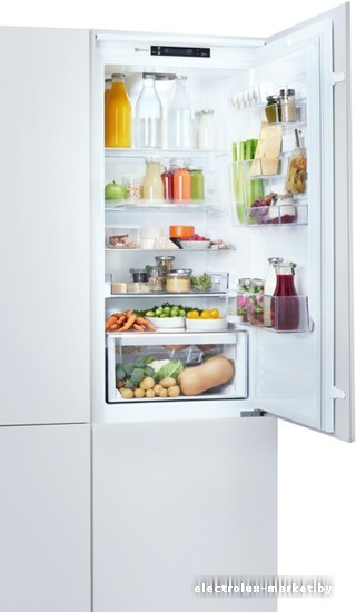 Холодильник Electrolux RNS7TE18S. Фото 1