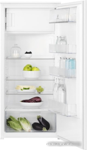 Однокамерный холодильник Electrolux RFB3AF12S фото 1