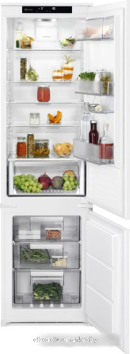 Холодильник Electrolux LNS6TE19S фото 1