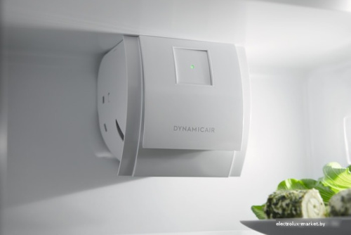 Холодильник Electrolux RNT6TF18S1 фото 3