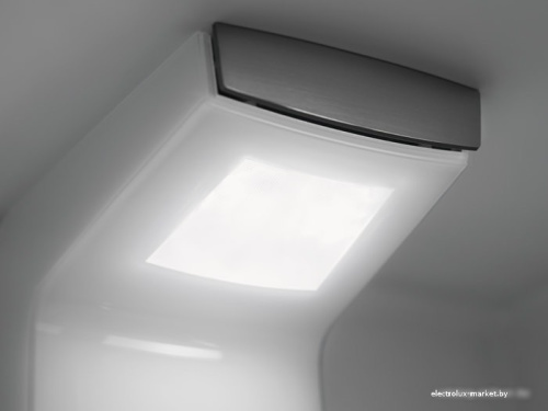 Холодильник Electrolux Flex RNS6TE19S фото 3