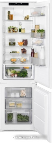 Холодильник Electrolux RNS8FF19S фото 1